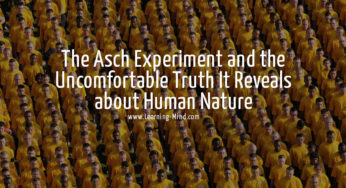 The Asch Experiment and the Uncomfortable Truth It Reveals about Human Nature