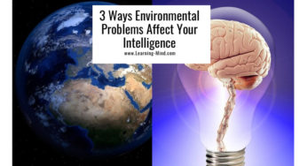 3 Ways Environmental Problems Affect Your Intelligence, According to Science