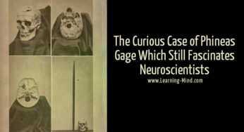 The Curious Case of Phineas Gage and Why It Still Fascinates Neuroscientists