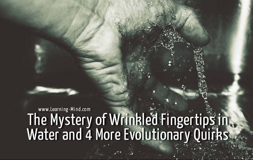 Wrinkled Fingertips in Water