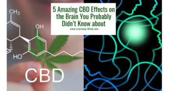 5 Amazing CBD Effects on the Brain You Probably Didn’t Know about