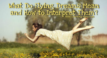 What Do Flying Dreams Mean and How to Interpret Them?