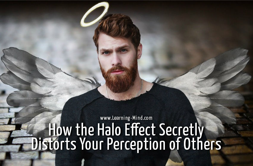 halo effect perception