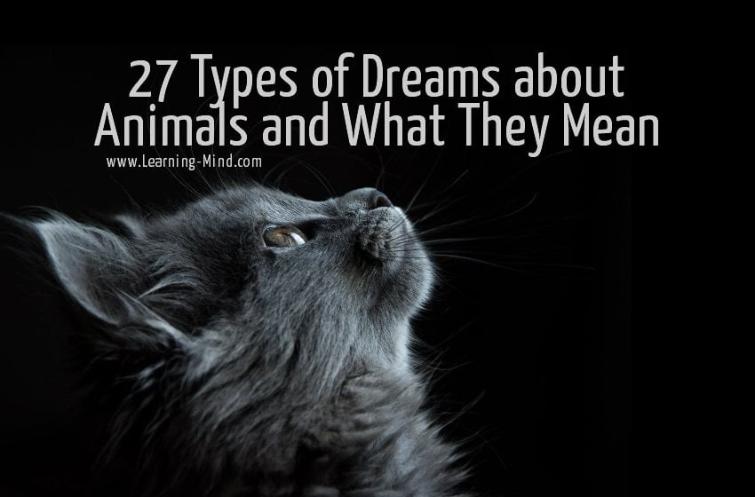 27 Types of Dreams about Animals and What They Mean - Learning Mind