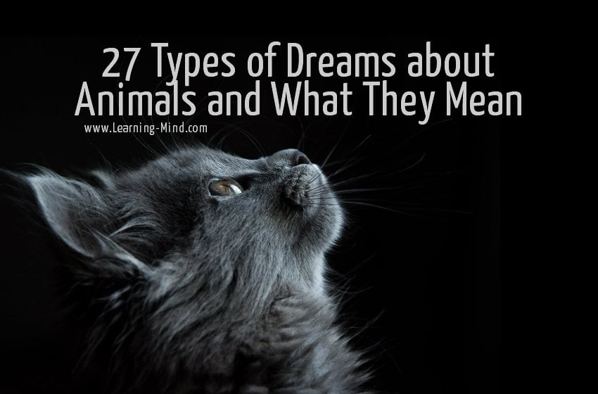 27 Types of Dreams about Animals and What They Mean - Learning Mind 27 Types of Dreams about Animals and What They Mean - Learning Mind