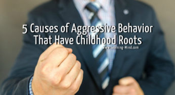 5 Causes of Aggressive Behavior That Have Childhood Roots