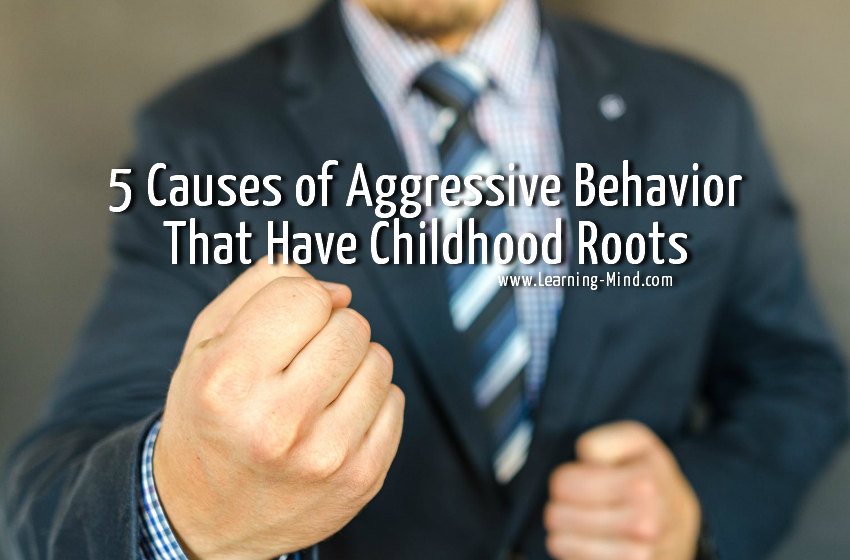 Aggressive Behavior Childhood Roots