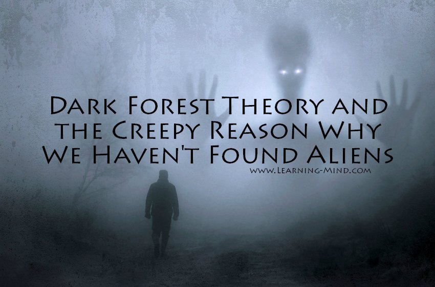 dark forest theory