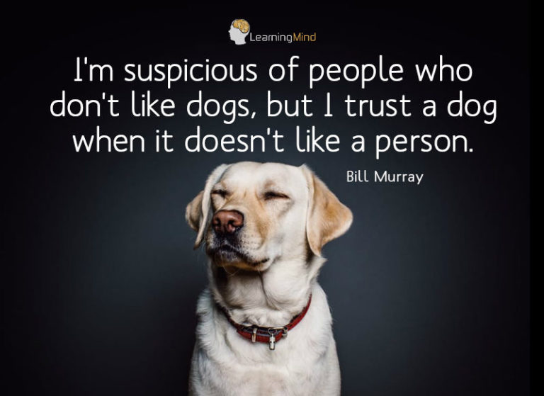 I’m suspicious of people who don’t like dogs… Learning Mind