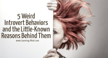 5 Weird Introvert Behaviors and the Little-Known Reasons Behind Them