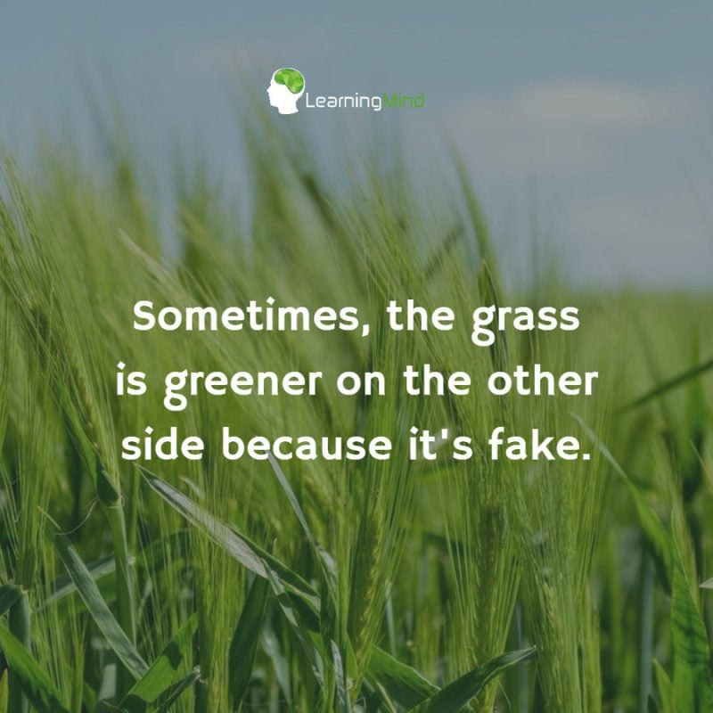Sometimes the grass is greener on the other side because it's fake
