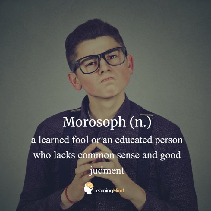 morosoph definition