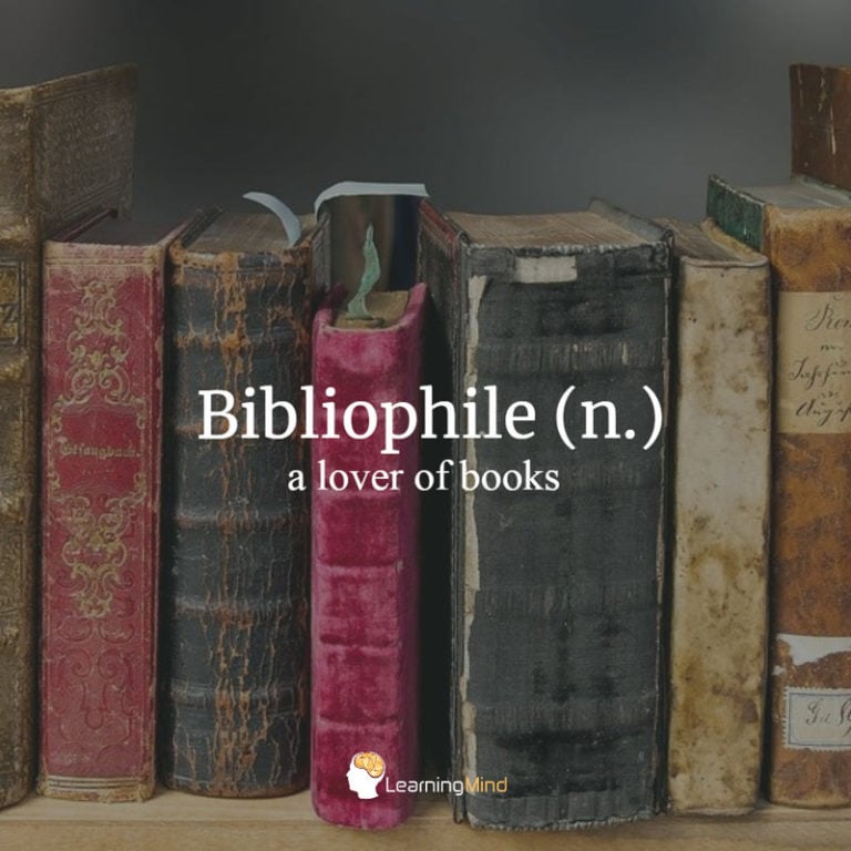 Read more about the article 12 Types of Philes and What They Love: Which One Do You Relate to?