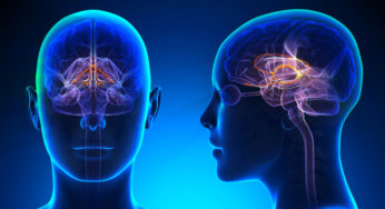5 Amazing Facts about the Human Brain and Memory