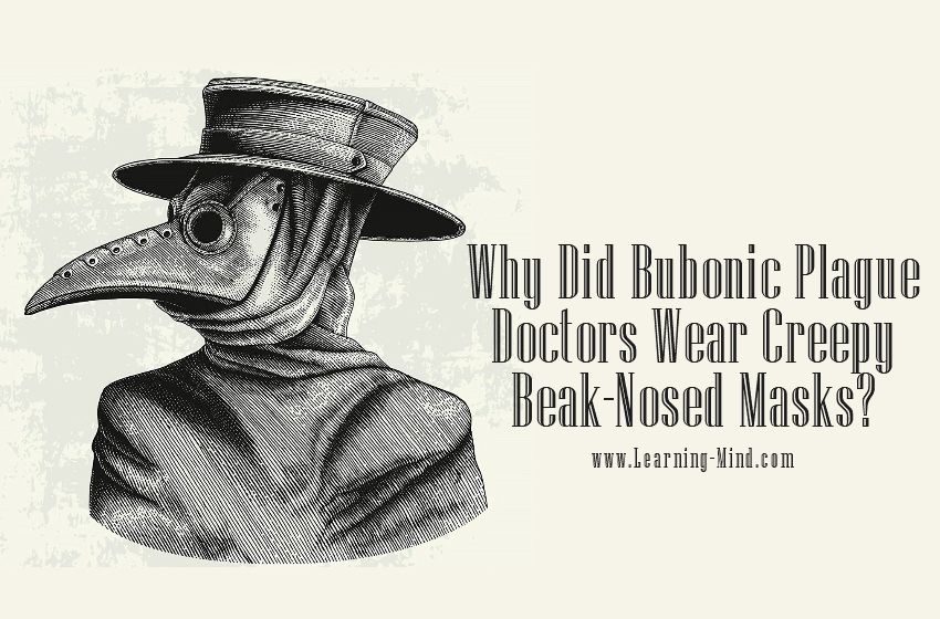 Why Did Bubonic Plague Doctors Wear Creepy Beak-Nosed Masks?