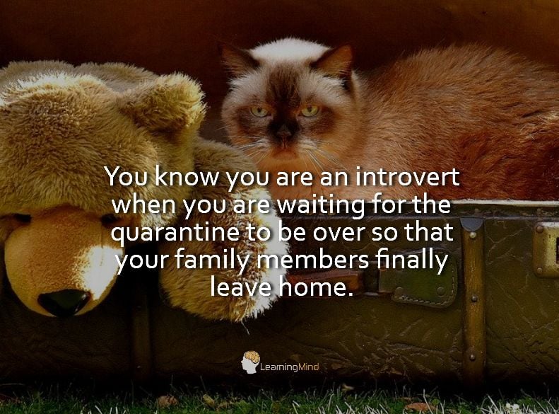 You know you are an introvert when you are waiting for the quarantine to be over so that your family members finally leave home.