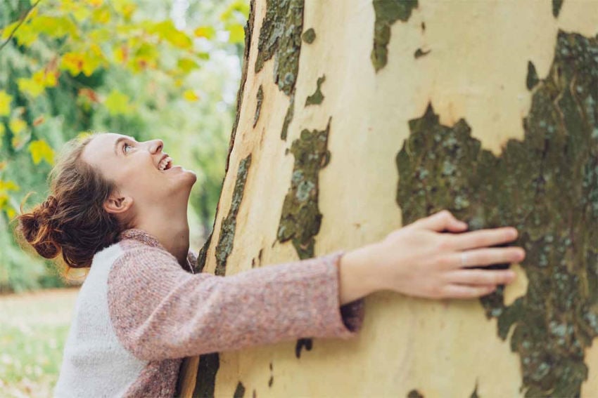 Tree Hugging