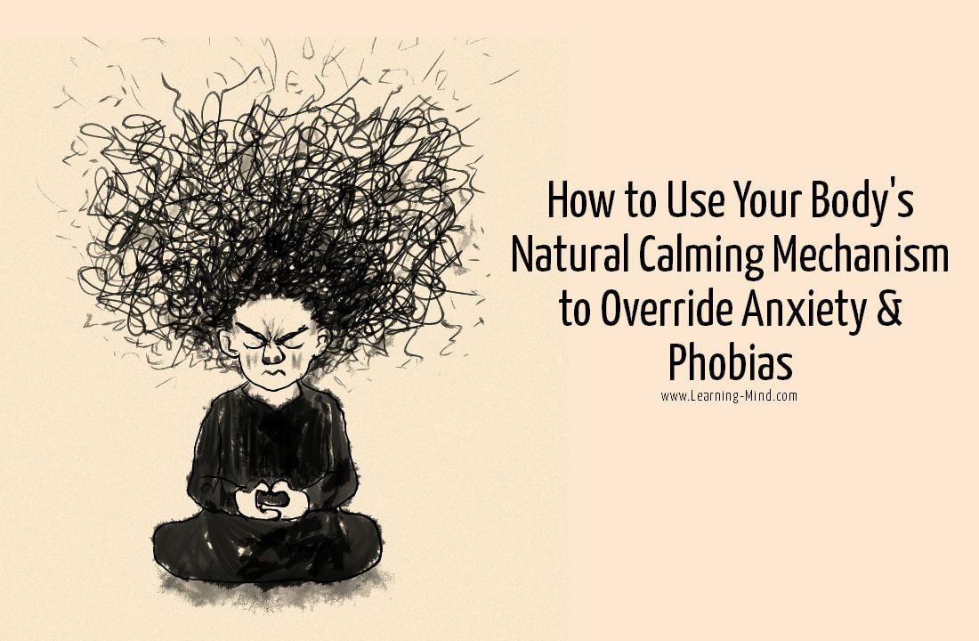 Polyvagal Theory: 7 Techniques to Override Anxiety & Phobias