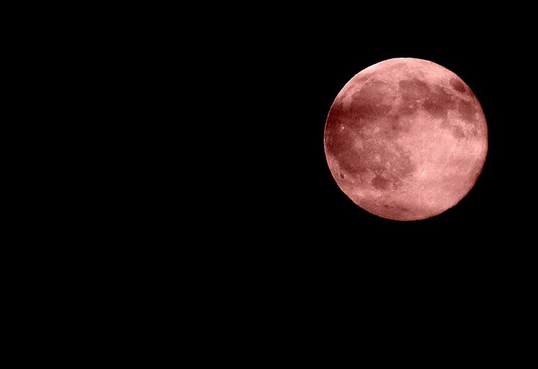 Special Pink Supermoon Will Brighten the Sky This Monday!