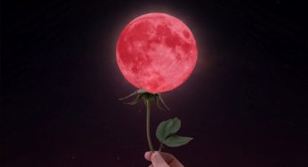 This Month We’ll Have a Super Flower Blood Moon Paired with a Total Lunar Eclipse!