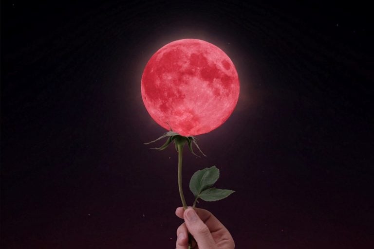 Read more about the article This Month We’ll Have a Super Flower Blood Moon Paired with a Total Lunar Eclipse!