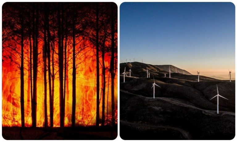 Read more about the article Greece’s Euboea Plagued by Wildfire 2 Weeks After Locals Say No to a Wind Farm in the Area