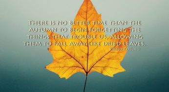 50 Autumn Quotes That Will Make You Fall in Love with This Season