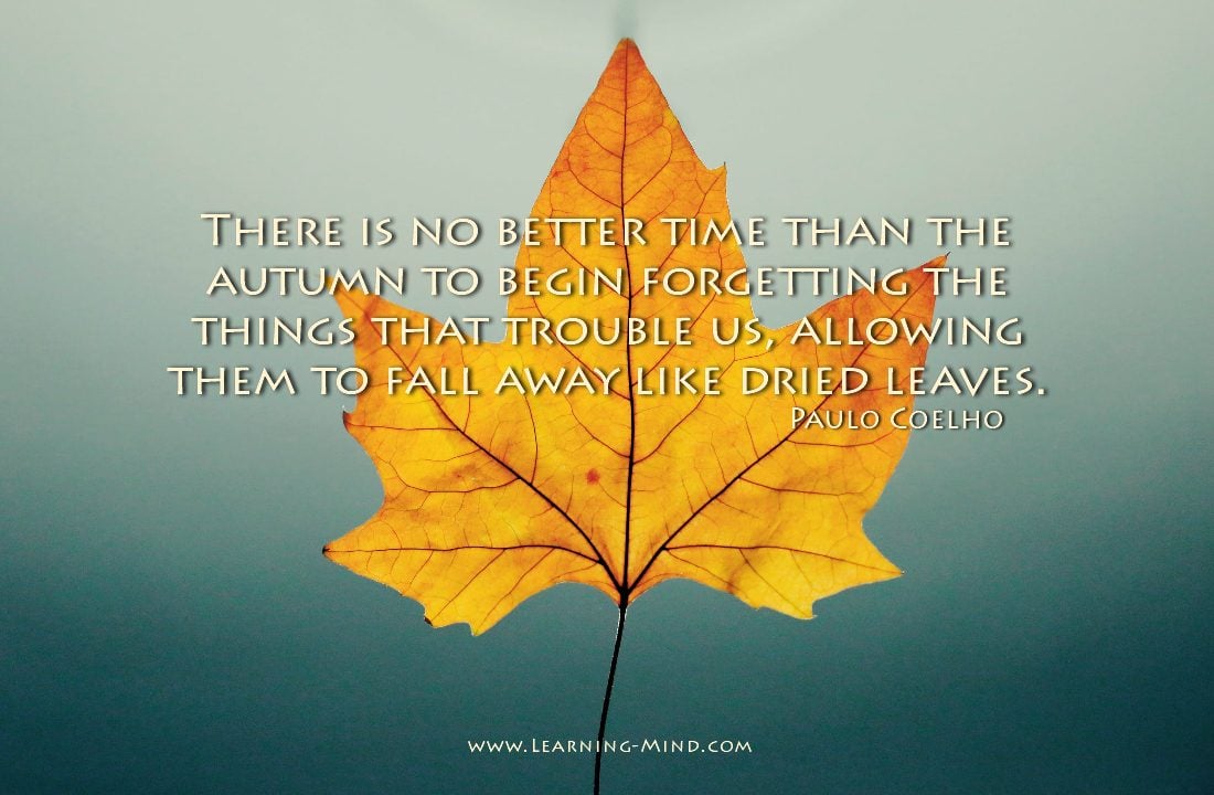 autumn quotes There is no better time than the autumn to begin forgetting the things that trouble us, allowing them to fall away like dried leaves Paulo Coelho