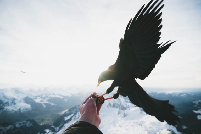 Read more about the article The Power of the Right Timing No One Talks About